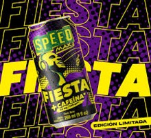 Speed fiesta 